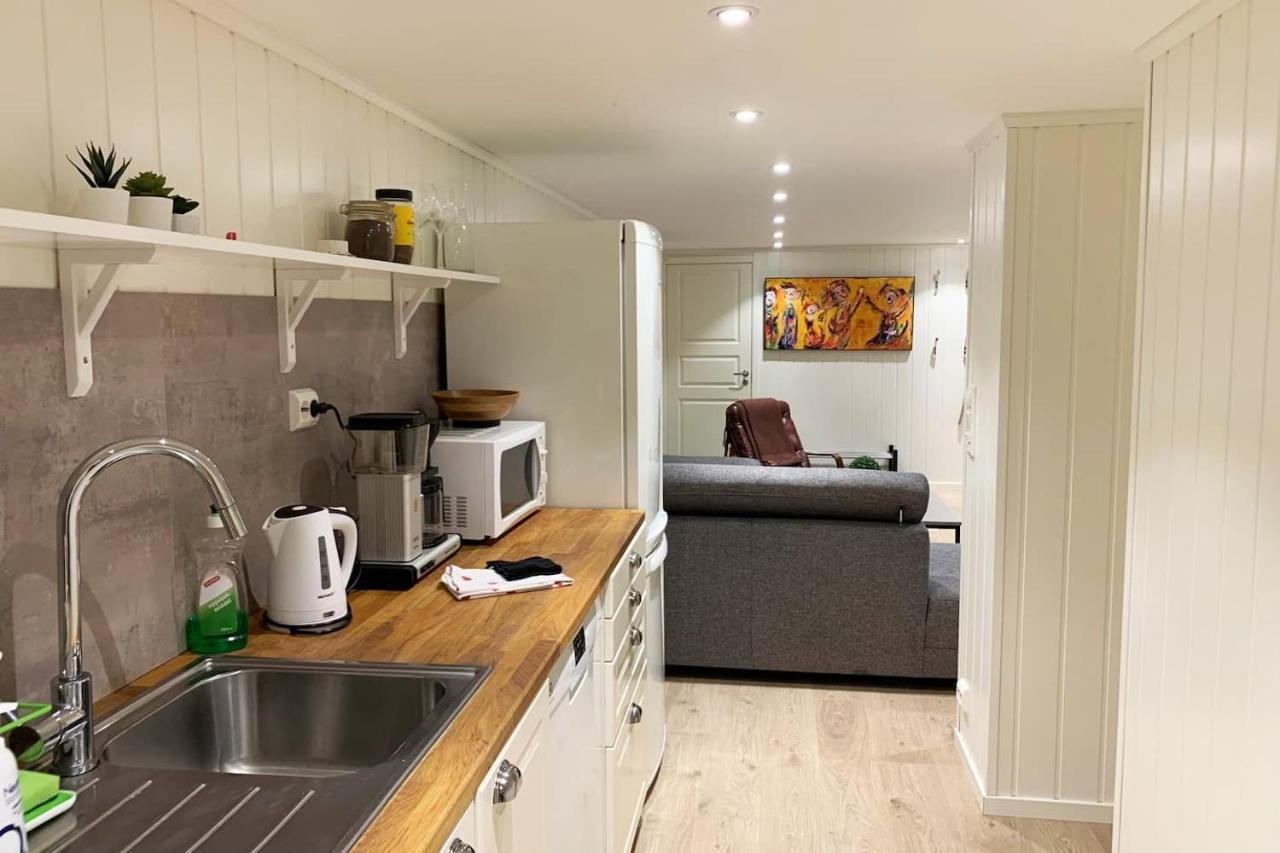 Newly Renovated Basement Apartment Sarpsborg Eksteriør bilde